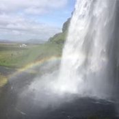 Carole Manducher's photo