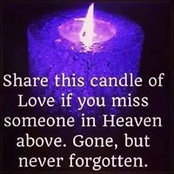 Tracy Paulsen's photo