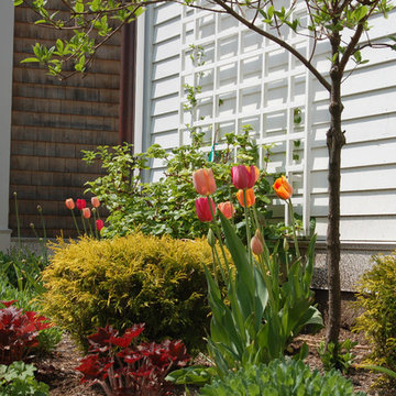 Traditional Hingham Center