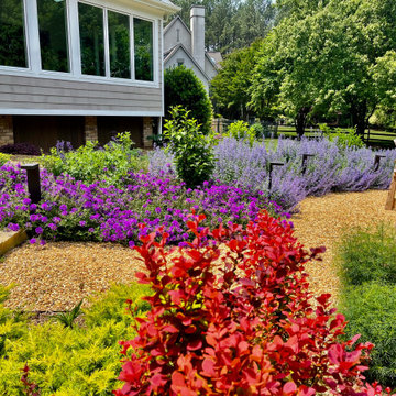 Immersive Color Garden