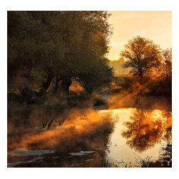 Gallerix - 1x "When Nature Paints with Light" by Jimbi - Prints & affischer