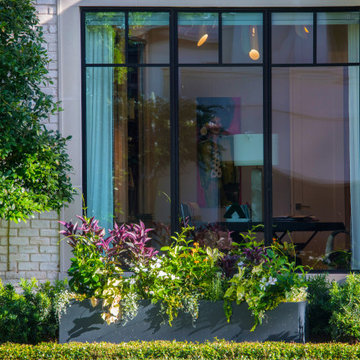 Afton Oaks Modern Swimming Pool and Landscape Design