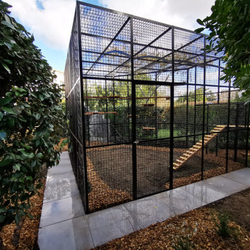 Jardin pour chats - Cat power