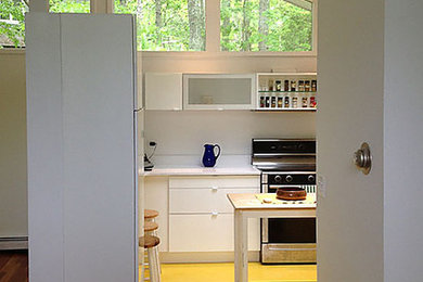 Home design - mid-sized scandinavian home design idea in New York