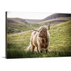 "Highland Cow in Rolling Hills" Wrapped Canvas Art Print, 24"x16"x1.5"