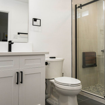 Chula Vista - guest bathroom remodel