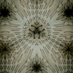 Plywood texture patterns - Prints And Posters