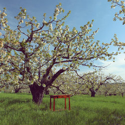 Country Classics - Products