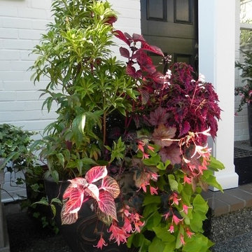 Container Gardens