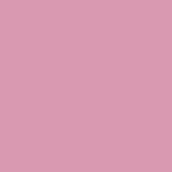 Haute Pink - Paint