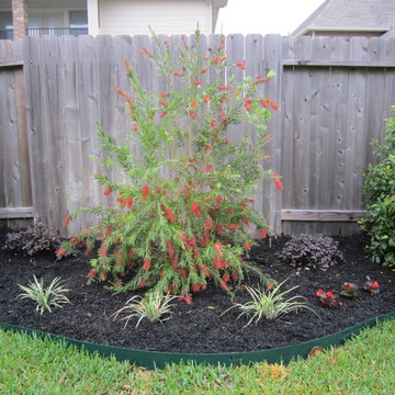 Medium Back Yard Landscape