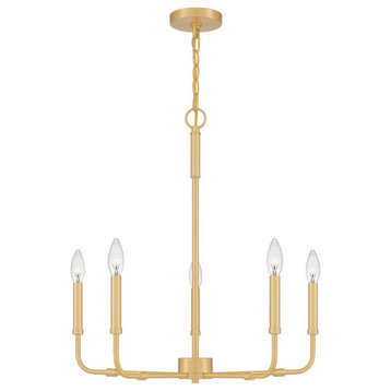 Quoizel Lighting - Abner - 5 Light Chandelier in Transitional style - 24 Inches