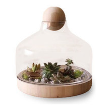 Terrarium
