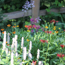 Flower Gardens