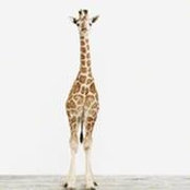 Sara Zoelle's photo