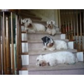 Barbara Shapiro's photo