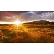 Chong Ngen's photo