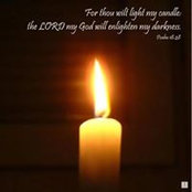 Veronica Z Ghattas's photo