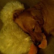 Kristin Costin's photo