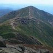 Julie Barenholtz's photo