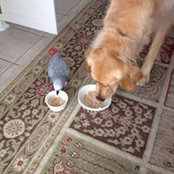 Nancy Singhaus's photo