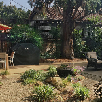 Small Indoor/Outdoor Living Nature Scape