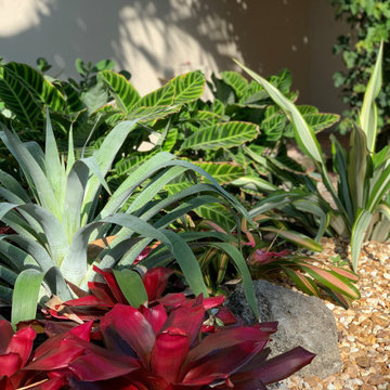 Tropical appeal for equestrian farm entrance