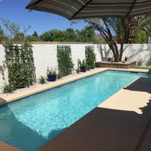 Backyard Desert