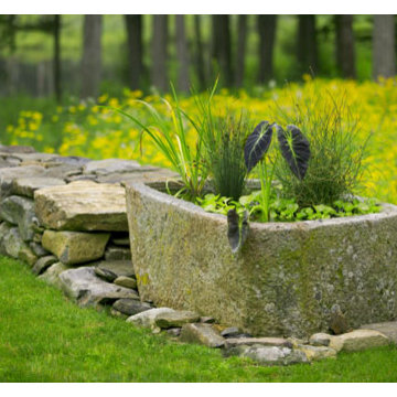 Water Garden in old stone trough