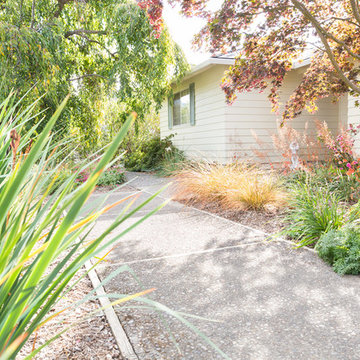 Shaded Entrance Pathway