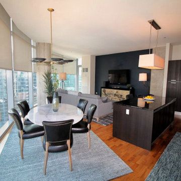 Contemporary Chicago Condo