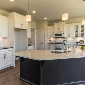 Inde Kitchen Remodels - Painted