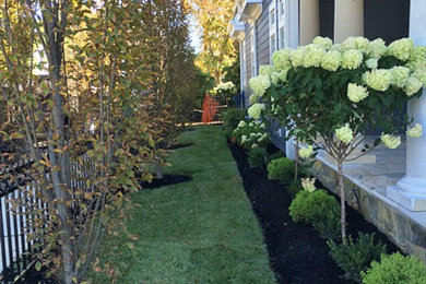 This is an example of a transitional landscaping in Other.