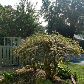 Gorgeous Landscaping