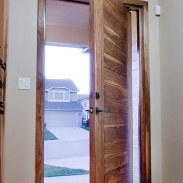 Hector Pivot Door Design