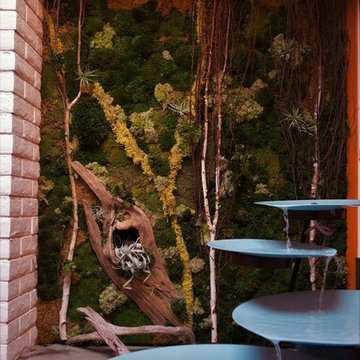Courtyard Design Midcentury, La Jolla