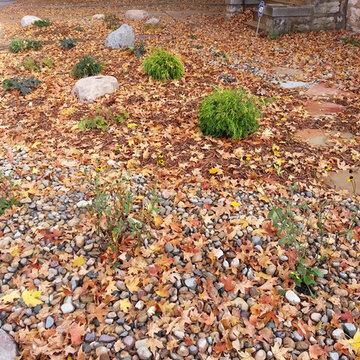Xeriscaping
