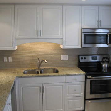 Kitchen remodel in Longboat Key Condominium