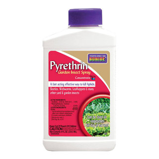Bonide 857 Pyrethrin Garden Insect Spray Concentrate, 8 Oz, 8 Oz ...
