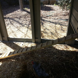 10' x 20' Chicken Coop - Products