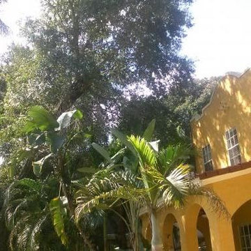 Precision 1 Tree Services - Project 1