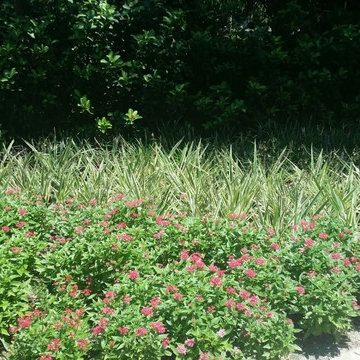 Ponte Vedra Exterior Rennovations