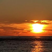 Lynda Burdick's photo