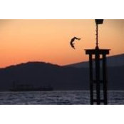 Eli Zagoudakis's photo