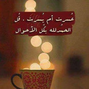 Doaa Sabry's photo