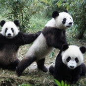 Foto von sun Lee