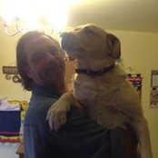 Roxanne Shadman's photo