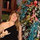 kaarin_coe