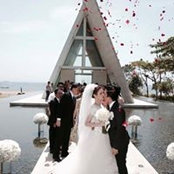 Nelson Liaw's photo