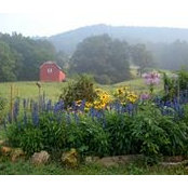 Carol Lane's photo